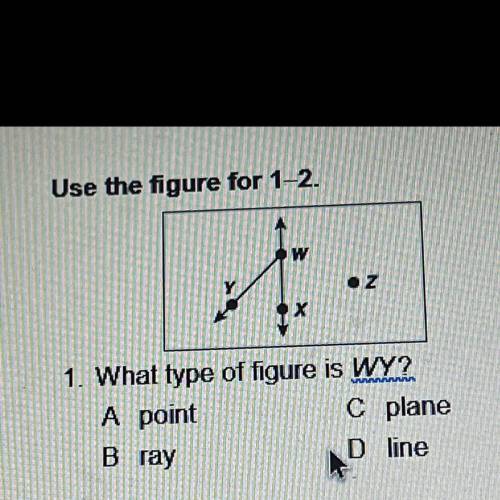 What type of figure is WY?
A point
C plane
B ray
D line