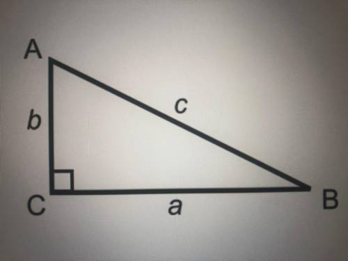 Given the image of the right triangle below, choosing angle A as the reference angle, label which o