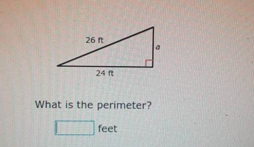Help!!! What is the perimeter? ​