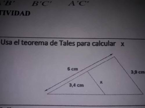 Use el teorema de tales para calcular x
