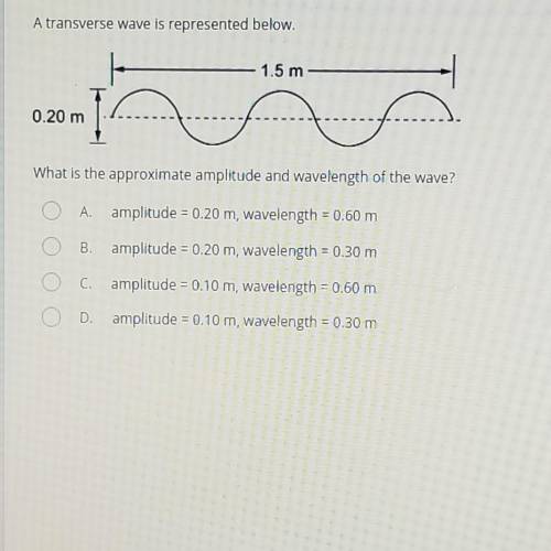 A transverse wave is represented below. 1.5 m 0.20 m What is the approximate amplitude and waveleng