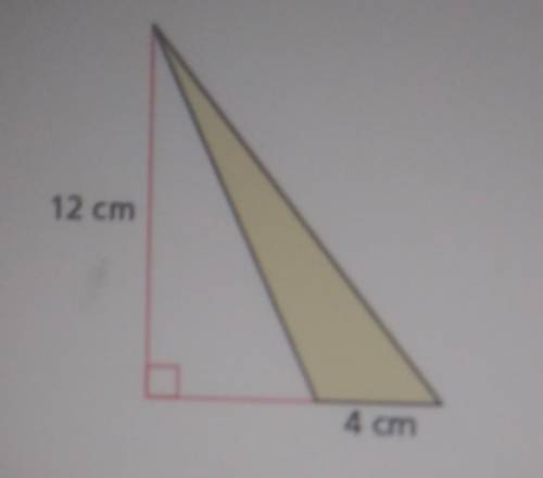 Find the area of the triangle ​