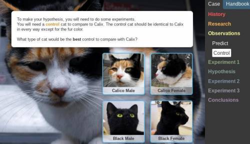 What type of cat would be the best control to compare with Calix?