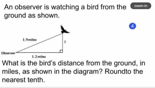 Please help1

An observer is watching a bird from the ground as shown. What is the bird's distance