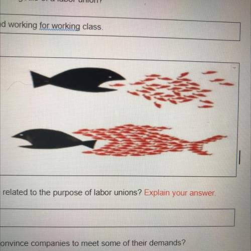 How does this image relate to to the purpose of labor units?
