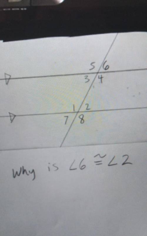 Why is angel 6 congruent to angel 2​