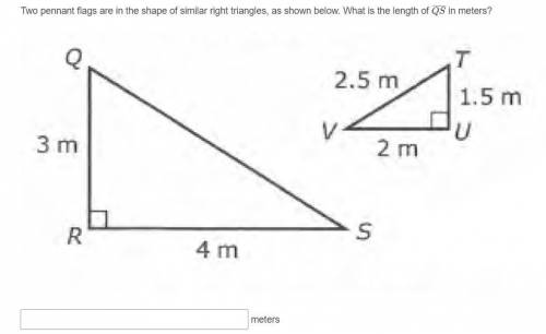 Two pennant flags are in the shape of similar right triangles, as shown below. What is the length o