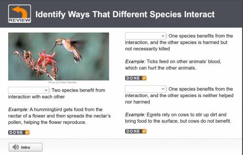 Two species benefit from interaction with each other

Example: A hummingbird gets food from the ne