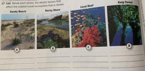 List Below each photo, list abiotic factors that

affect the coastal ocean ecosystem that is shown