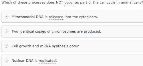 Which of these processes do not occur as a part of the cell cycle in the animal cells