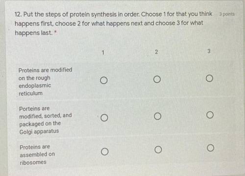 12. Put the steps of protein synthesis in order. Choose 1 for that you think 3 points

happens fir