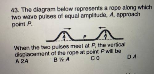CAN A BRAINLEST HELP PLEASE!!!

The diagram below represents a rope along which
two wave pulses of