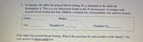 Please, I need help!

In humans the allele for normal blood clotting, H, is dominant to the allele