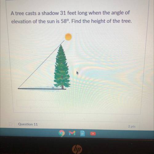 A tree casts a shadow 31 feet long when the angle of

elevation of the sun is 58º. Find the height