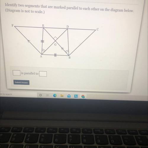 Please help 
Please 
Which 2 segment are parallel? 
Please