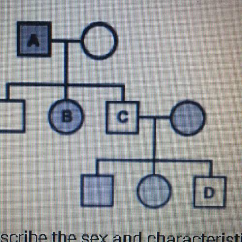 5. The family tree below shows the trait of having attached earlobes. Having attached earlobes is