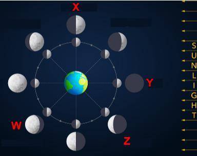 HELP ME ILL MARK BRAINLIESTTTT PLSS ASAP

The diagram below shows the Earth, Sun, and Moon system.