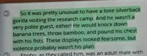Select the highlighted sentence that best explain why the camp workers thought that Ebobo was a thr