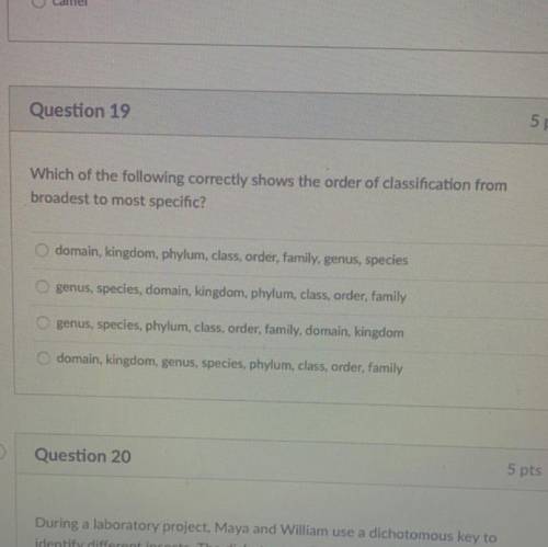 I NEED HELP WITH THIS Question someone