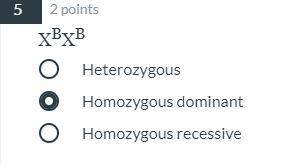 Is this Heterozygous, hom0zygous dominant, hom0zygous recessive?