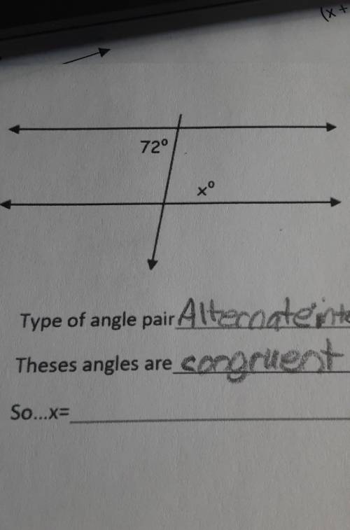 72° xº Type of angle pair: Alternate interior theese angles are: congruent So...x=​
