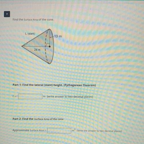 Help!! Please help find the surface area of this cone and answer the questions below. :(