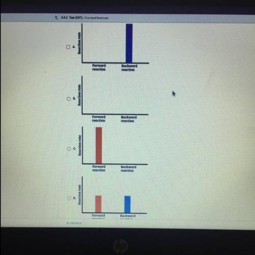 Which bar graph shows the reaction rates for a reversible reaction that has reached dynamic equilib