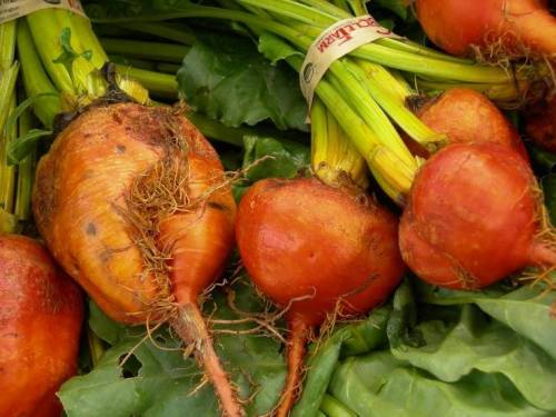 Carrots and beets are roots. They are sweet due to sugar. How is this an adaptation for the plant's