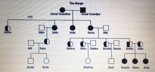 1. Label the generations.

2. What is the genotype of the following individuals?
a. Great Grandma