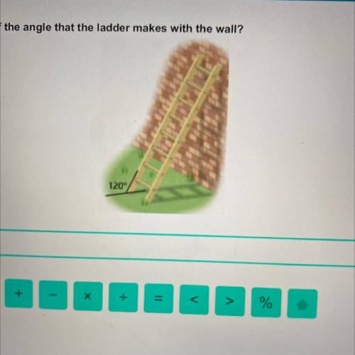 What is the measure of the angle that the ladder makes with the wall?