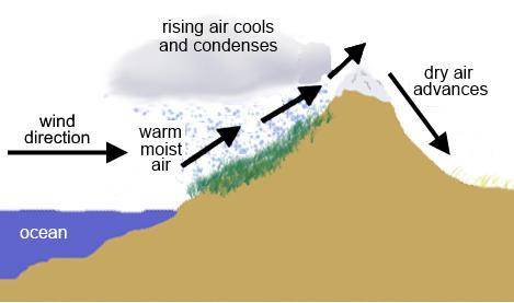 PLS HELP ANYONE

The image below shows how cloud formation can be affected by a mountain range.
Th