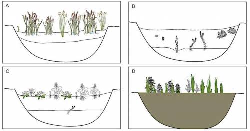 HEEEEEEELP ME PLEASEEEEE...

Ecological Succession: Succession of a Pond
Ponds are created when wa