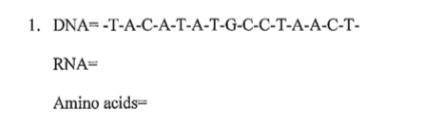 Given is a strand of DNA, fill in the corresponding RNA strand and find which amino acids that stra