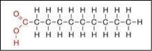 Refer to the illustration above. What biomolecule is this?

Group of answer choices
nucleic acid
l
