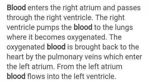 Name the Chamber that receives the blood first​