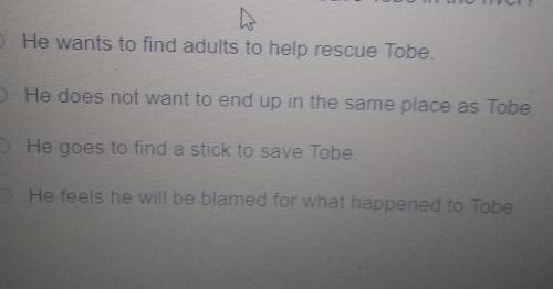 In Saving Toby why does Osvaldo leave Toby in the river​