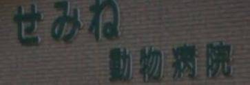 CAN SOMEONE PLZ TELL ME WHAT THIS SAYS? ITS IN JAPPANESE (Don't know which dialect)