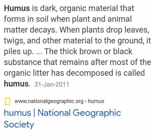 What is hummus in biology​