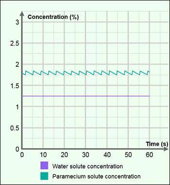The graph below shows the paramecium solute concentration through time when the water solute concen