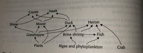 The diagram above shows a food web. Which of the following food chains represents how energy flows