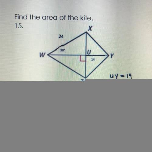 Find the area of the kite