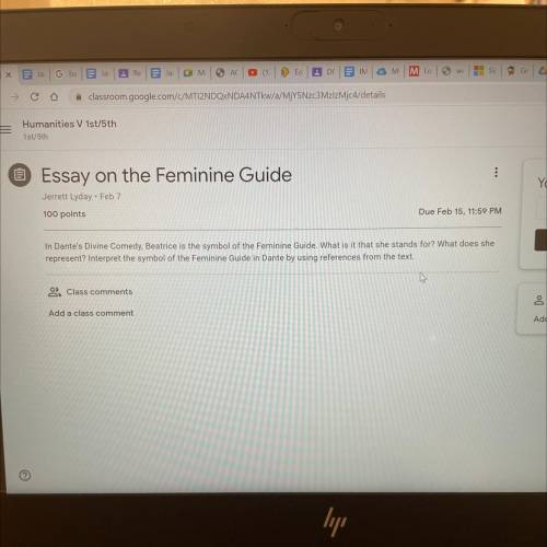 Can some one write me a essay on the feminine guide