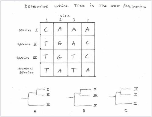 Can anyone fill in the three phylogenetic trees and tell me which is the most parsimonious? First p