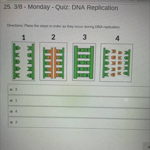 Place the steps in order as they occur during DNA replication.