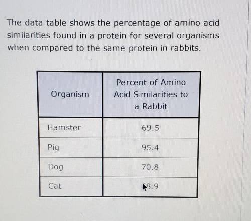 Based on the data, which organism is most closely related to the rabbit?

A. HamsterB. PigC. DogD.