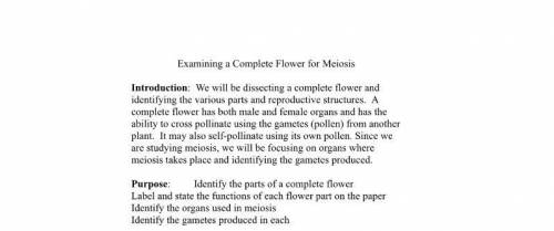 A good hypothesis for flower meiosis lab —- HELPPPPPPPPPPPPPP