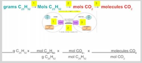 How many molecules of CO2 were produced in this reaction? (this is a three-step conversion from gr
