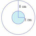 A dart hits the small circular target shown below at a random point. Find the probability that the