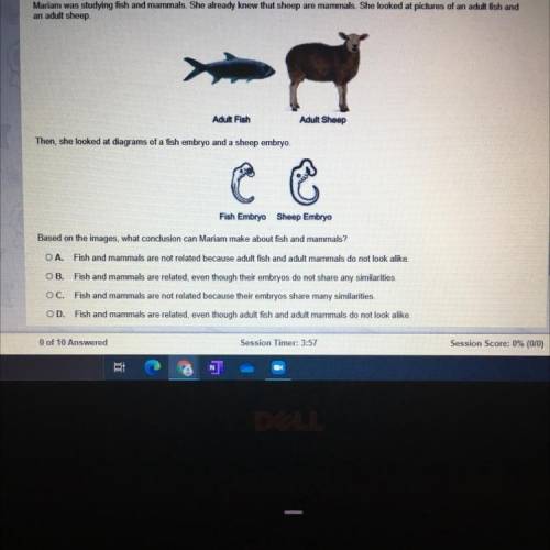 The question is asking “based of the images, what conclusion can Mariam make about fish and mammals