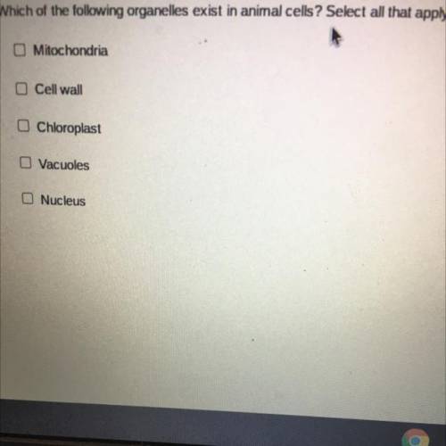 Which of the following organelles exist in animal cells? Select all that apply.

O Mitochondria
O